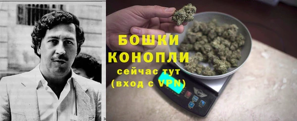 спайс Белокуриха