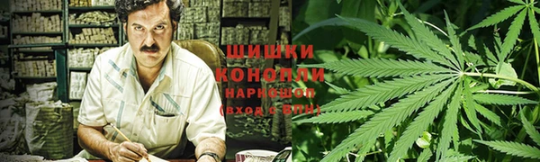 спайс Белокуриха